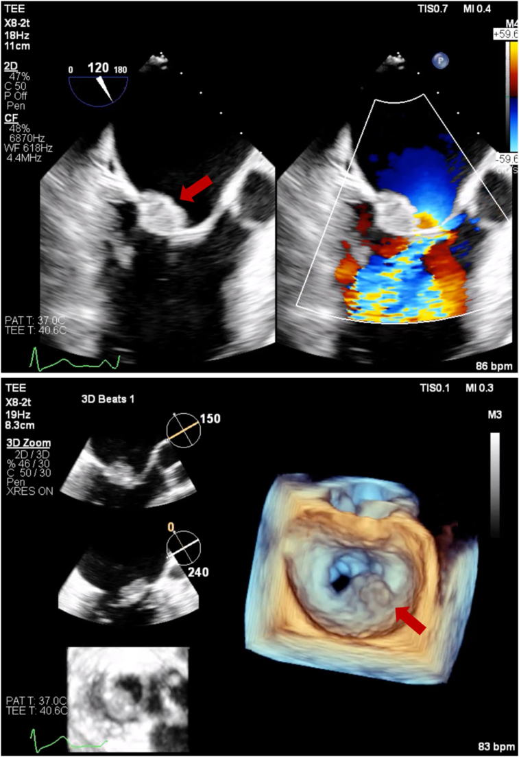 Figure 6