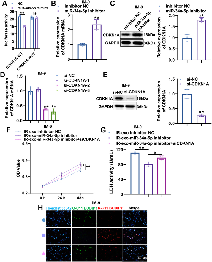 Figure 6
