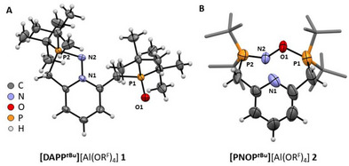 FIGURE 1