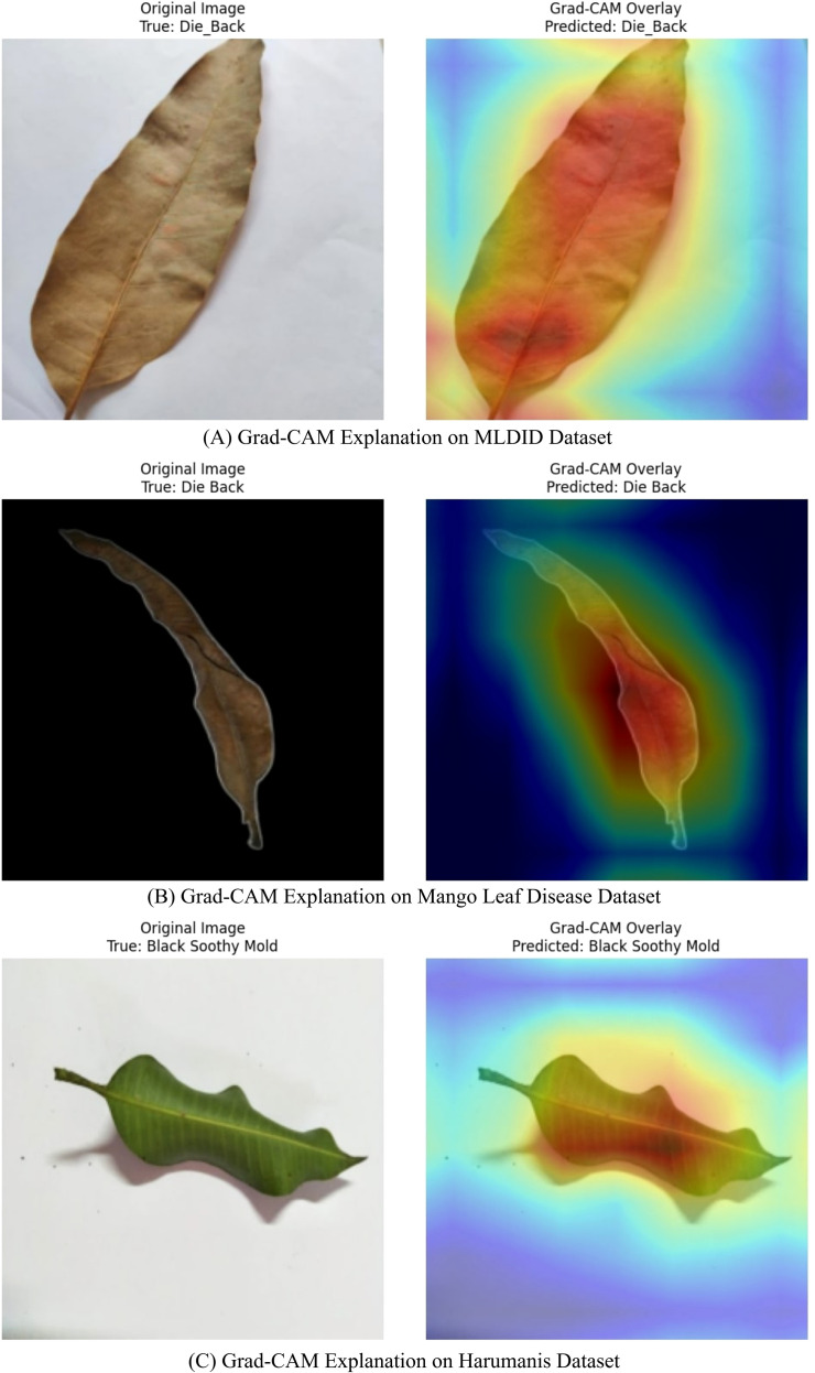 Figure 6