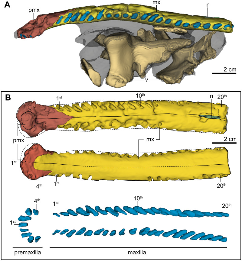 Figure 4