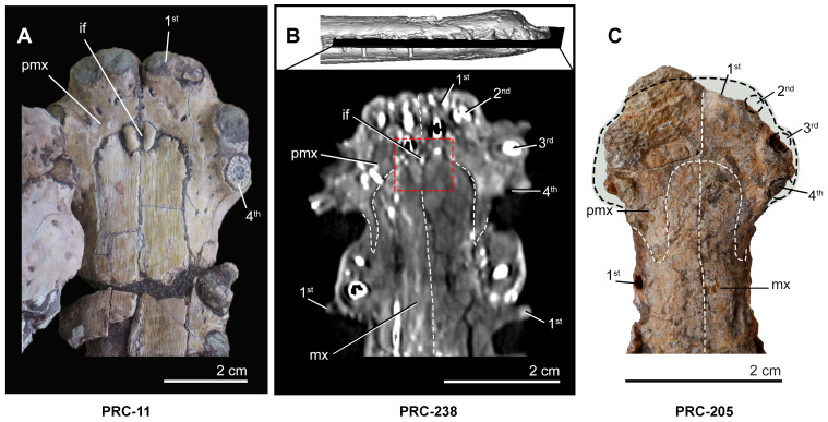Figure 5