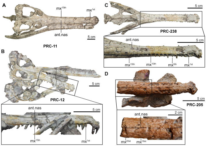 Figure 12