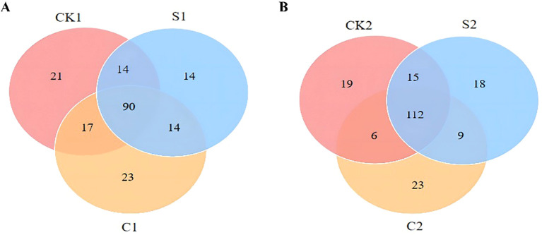 Figure 5