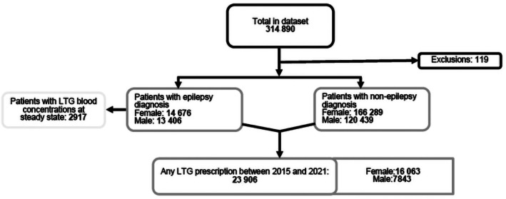 FIGURE 1