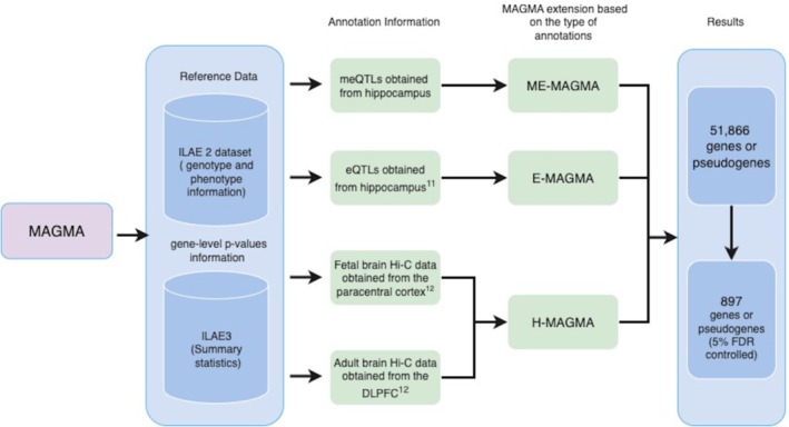 FIGURE 1