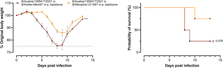 Fig 5
