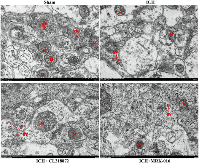 Fig 4