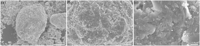 Fig 8