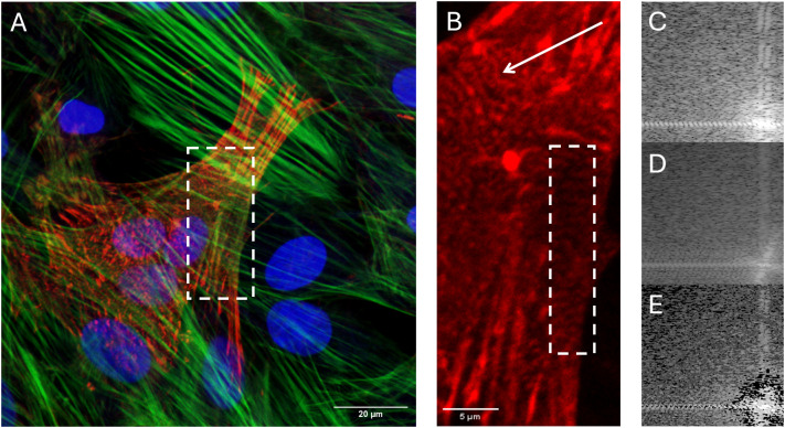 Fig 3