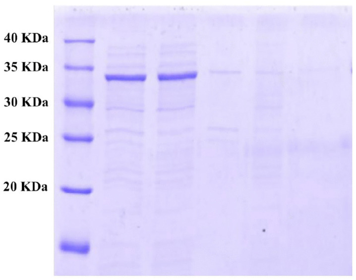 Fig 4