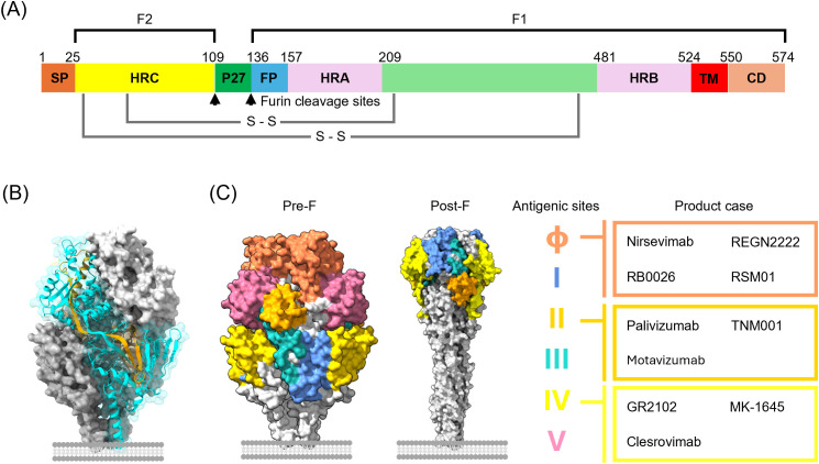 Figure 3