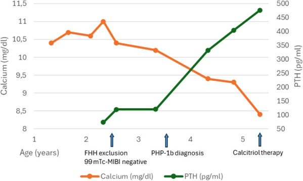 Figure 1