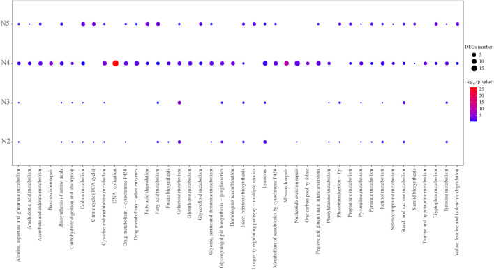 FIGURE 2