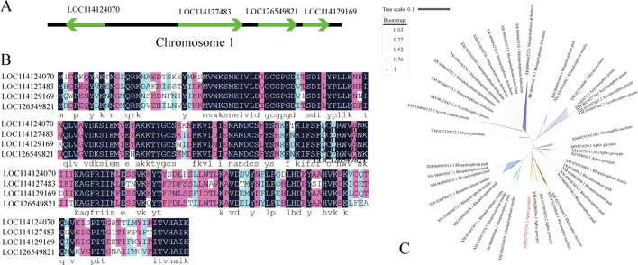 FIGURE 4