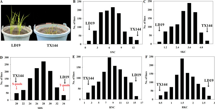 Figure 1