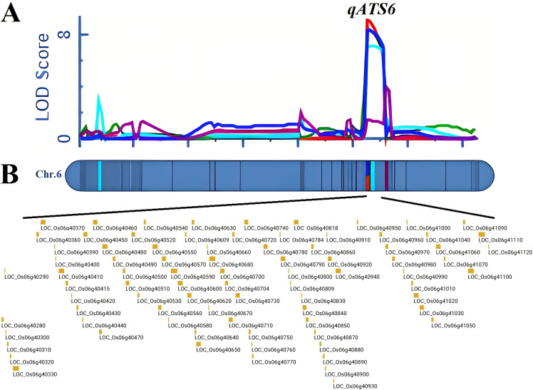 Figure 3