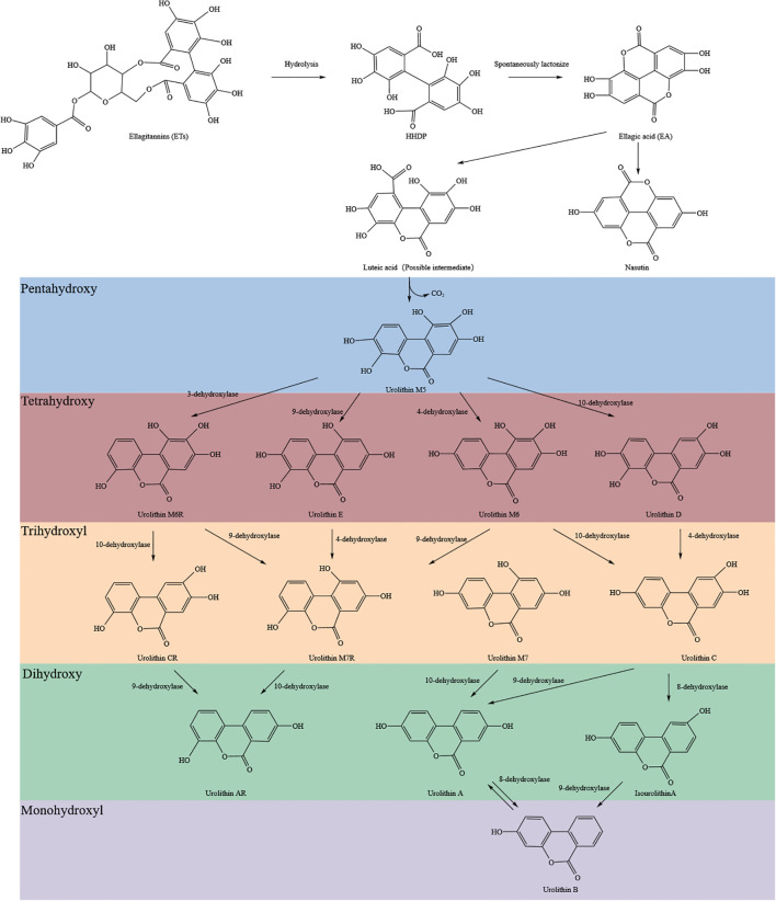 Figure 1
