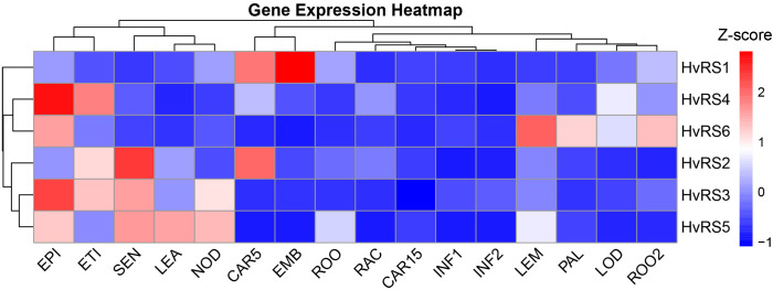 Figure 5