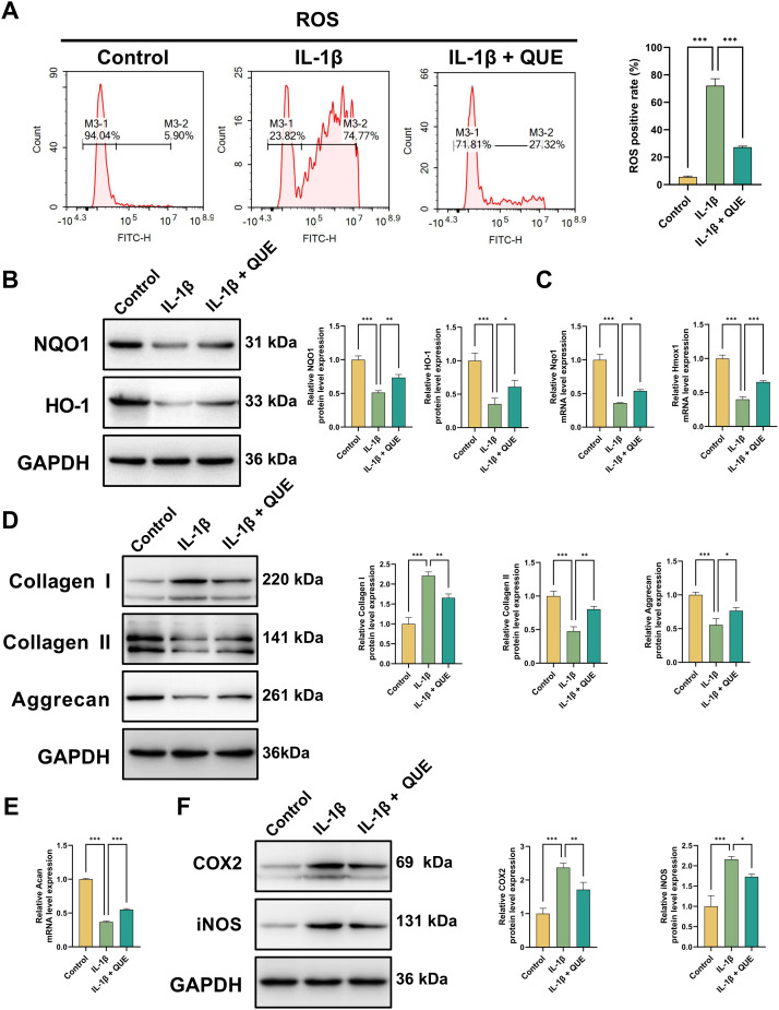 Figure 6