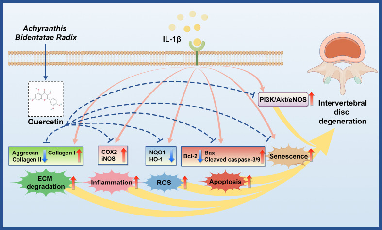 Figure 10