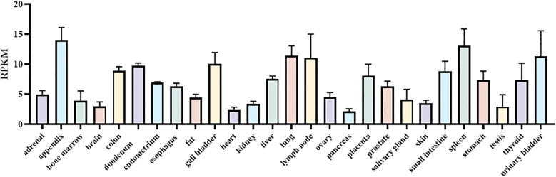 Figure 1