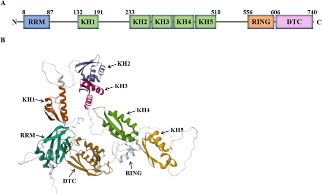Figure 2