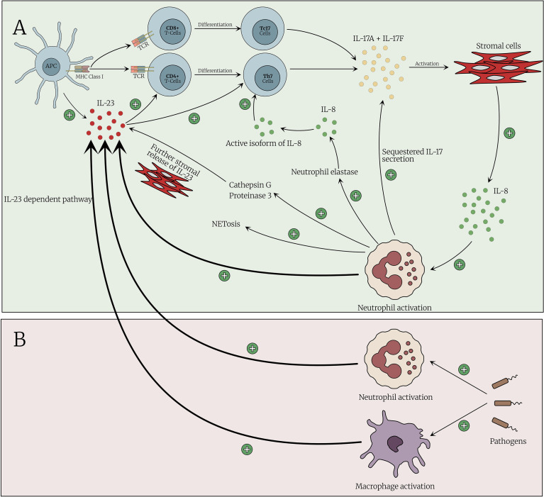 Figure 3