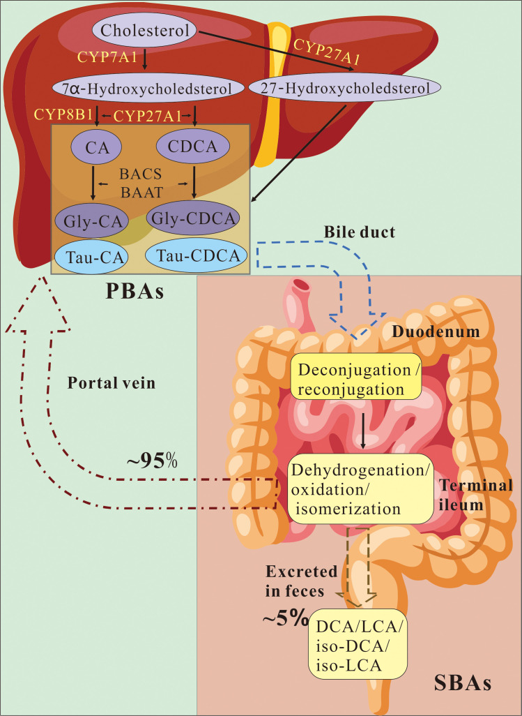 Figure 1