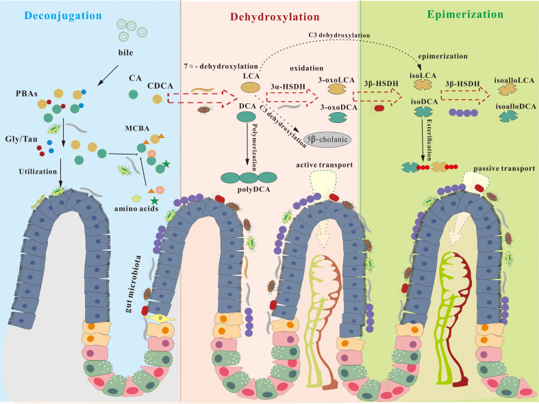 Figure 2