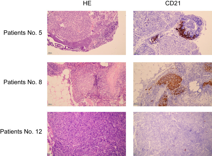 Figure 3