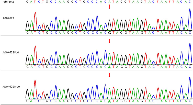 Figure 2