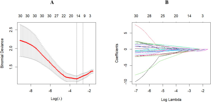 Figure 1