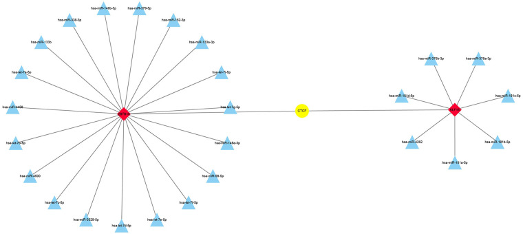 Figure 6
