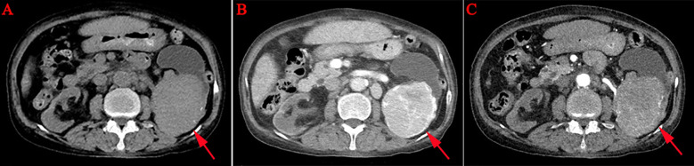 Figure 1
