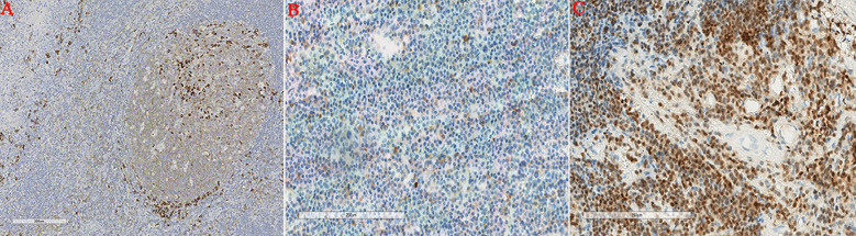 Figure 3