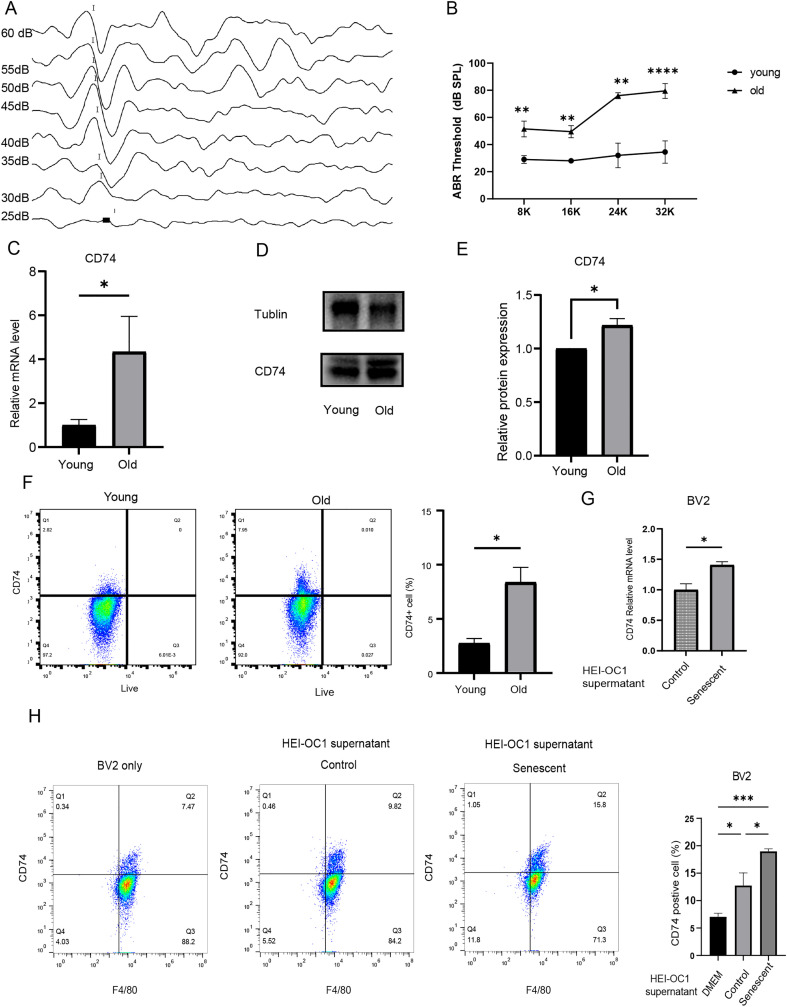Figure 3