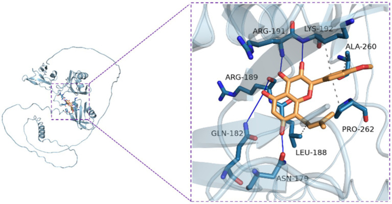 Figure 6