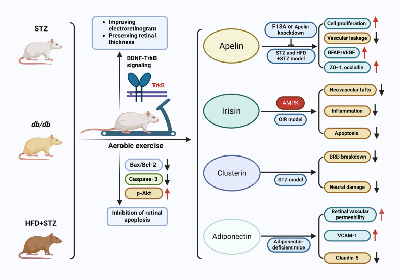 Figure 4