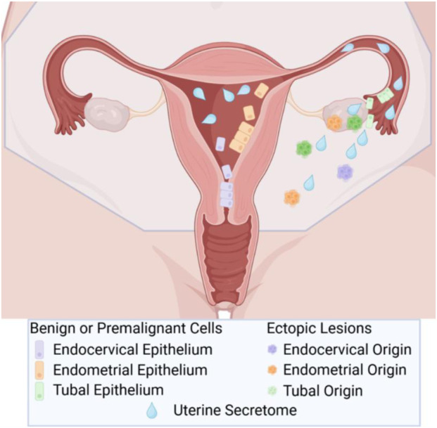 FIGURE 1