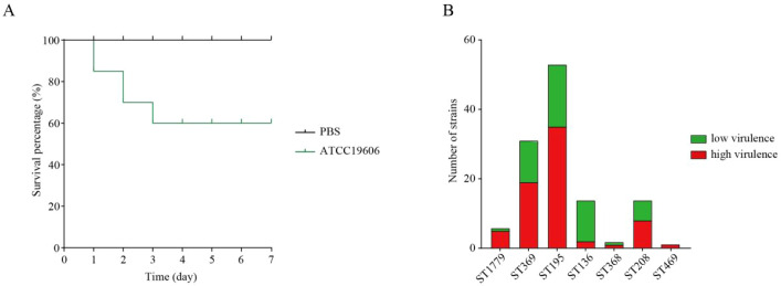 Figure 2