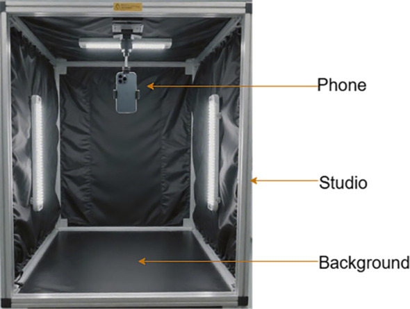 Figure 1