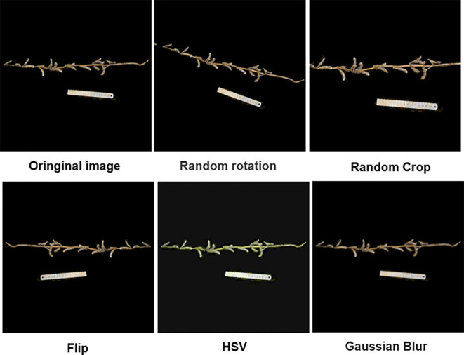 Figure 3