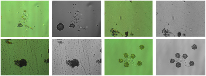 Figure 6