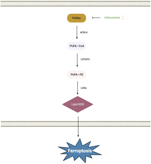 FIGURE 3
