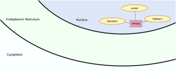FIGURE 8