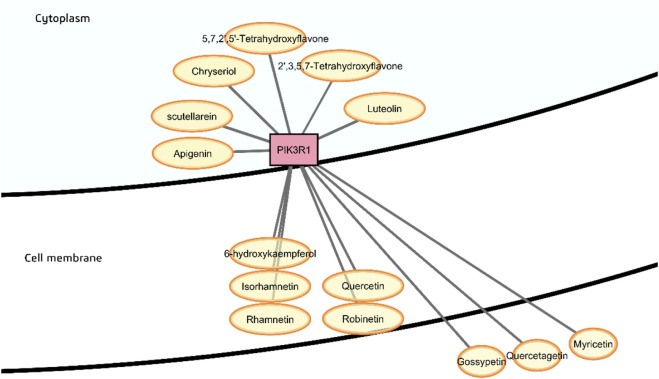 FIGURE 11