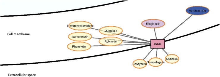 FIGURE 12