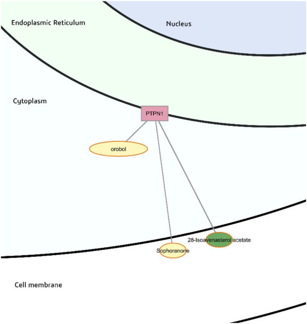 FIGURE 13