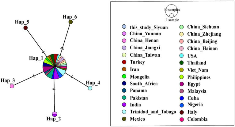 Figure 5